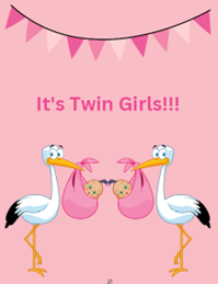 Baby - It's Twin Girls!