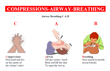 Life Saving Book - CPR
